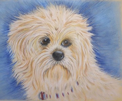 Janet S. Travis, polychromos pencils on pastlemat paper.